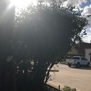 Meet your Posher, Cole